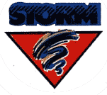 Guelph Storm 1991-1995 primary logo iron on transfers for clothing